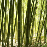 Sensuous and Special Wellness Spas in San Diego