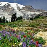 Travel the World in the United States
