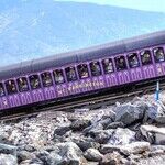 Trains Large and Small Delight Railroad Buffs