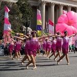 Delight in Washington's Cherry Blossoms and Citywide Festival