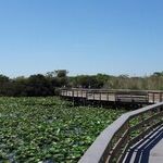 Take Lessons From Nature at Everglades National Park
