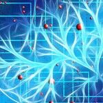 Those Neurotransmitters