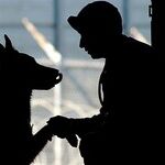Being of Service -- It Works for Man and Dog