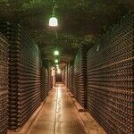 Lessons From the 2018 Winemaker Challenge