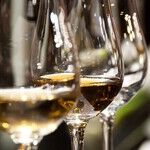 Somm Challenge's Biggest Winners