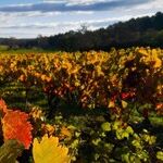 Three Harvest Hot Spots