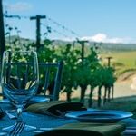 Pauillac in California