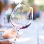 Our 2019 Winery of the Year