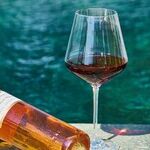 2019 Wines in Review
