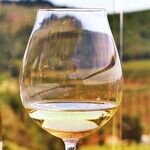 Winery to Watch: Oregon's WillaKenzie