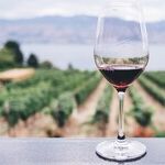 Winery to Watch: Scattered Peaks
