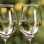 The White Wine Decant