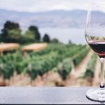 Family Wineries Shine In San Diego