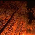 Napa Valley Fire Update