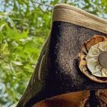 History: a 'Foible' Agreed Upon