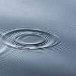 Shrewdly, These Words Have Improved Their Meanings