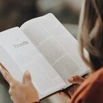 Chancellors of the Lex Checker