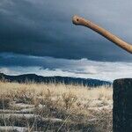 Word Fiends Have an 'Ax' To Grind