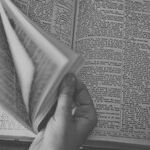Language of 2016 Was a 'Dumpster Fire'