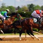 Dubbings of Derby Dobbins Mirror History