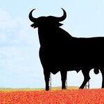 Origin of 'Gory' Misses Bull's-Eye