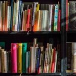 Summer Books for the Alone Ranger