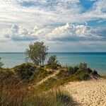 Michiganders Make a Name for Themselves