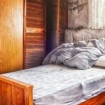 Have Tour Guides 'Taut' Us a Big Lie?