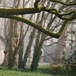 This Quiz Might Make You 'Grimm'