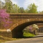 How a Driveway Became a Parkway