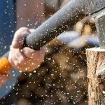 Word Court Renders Split Decisions