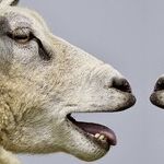 'Aks' Pronunciation Has Long History in English