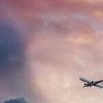Pilot Parlance: Fasten Your 'Speech'-belt