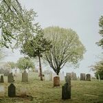 Keep Your Eye on 'Graveyard Shift' and 'Gimlet'