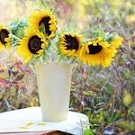 Still Stressed? 7 Ways to a Leaner, More Serene Thanksgiving