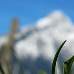 Spring! Your Secret Weapon to Seed Change