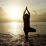 Body Wisdom 101: Align Your Spine and You'll Be Fine