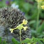 April Showers Help You Flower: 5 Ways to Spring Joy