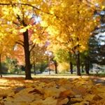 Thanksgiving Makeover: 6 Ways to Spread Your Wings