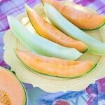 Sick of Dieting? Sick from Dieting? Read This Now.