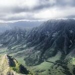 Aloha! Practicing Huna in 28 Inches of Epic Rain