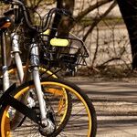 To Bike or Not to Bike: Is That Even a Question?