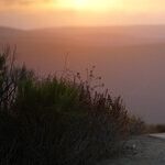 Vacation Tips: Pack Your Practice, Leave Expectations Behind
