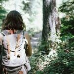 Vote For Your Well-Being: Elect to Be Happy, No Matter What