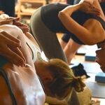 Well-Being Is Sinking, But You Can Rise Above It