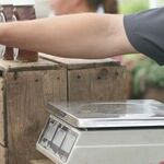Organic or Conventional? Why the Dirty Dozen Matters