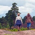 Walking the Path: A Step-By-Step Guide to Transformation