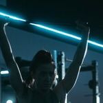 Protein and Working Out