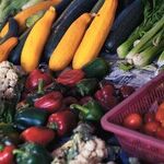 Powerful Fruits and Vegetables