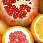 Vitamin C for Your Muscles